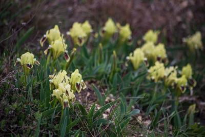 Прикрепленное изображение: IMG_7709.jpg